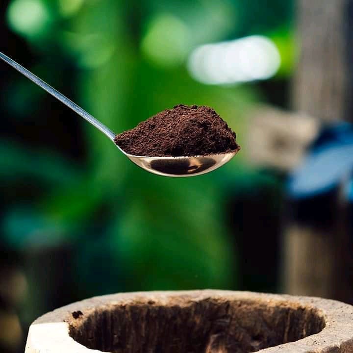 Materuni Coffee Tour