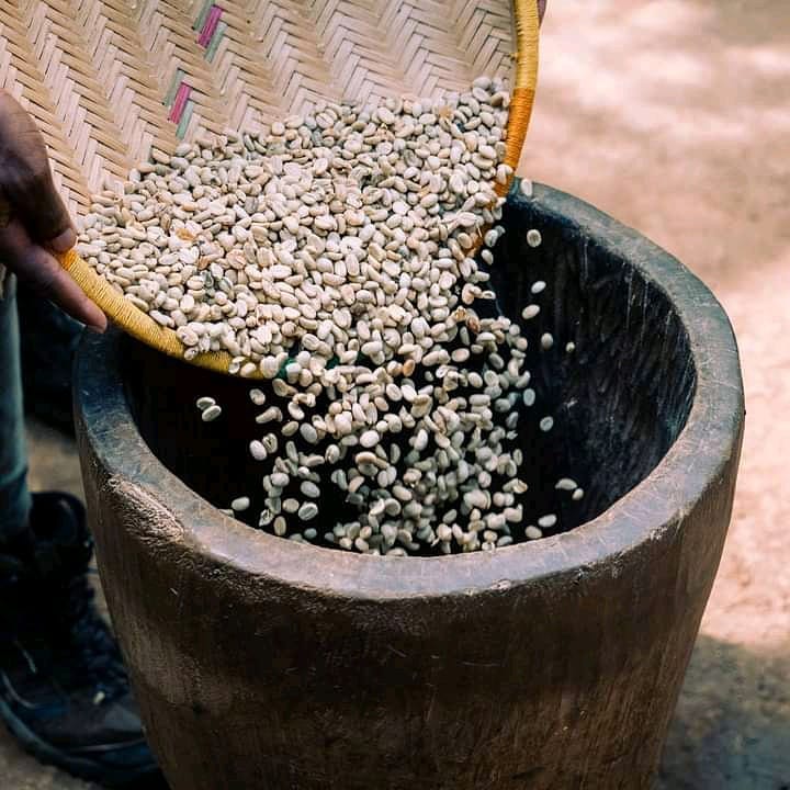 Materuni Coffee Tour