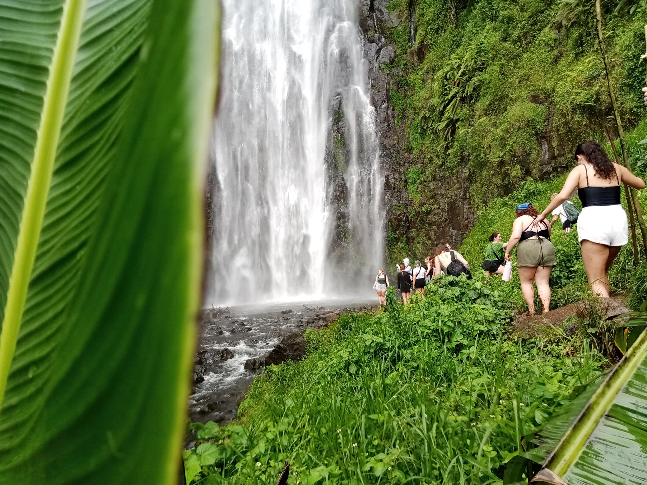Materuni Waterfalls hiking