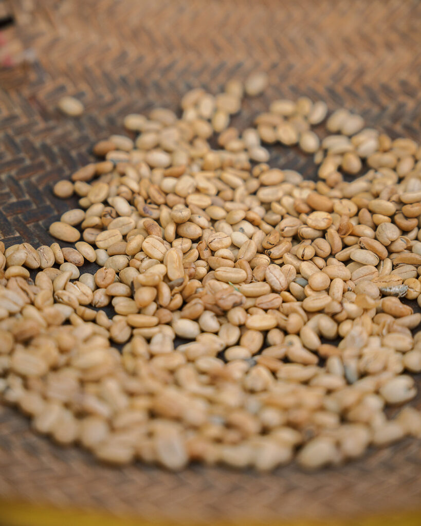 Materuni Coffee Tour