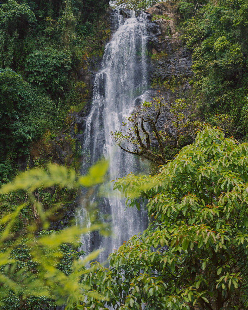 Materuni Waterfalls hiking